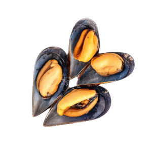 Frozen Mussels (EU origin)