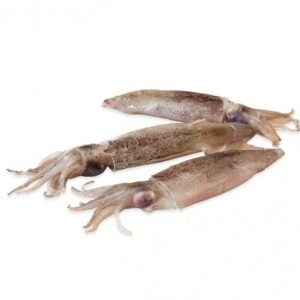 Frozen Squid (Mediterranean)